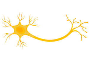 newsletter mit icon (800 x 1000 px) (7)